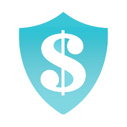 money shield icon